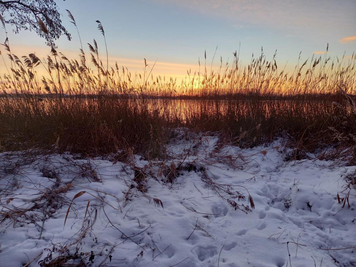 Willa Het Zeepaartje, Knus En Gezellig Noordwijkerhout Zewnętrze zdjęcie