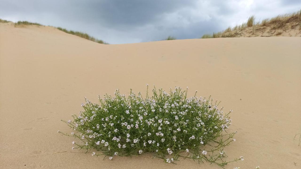 Willa Het Zeepaartje, Knus En Gezellig Noordwijkerhout Zewnętrze zdjęcie