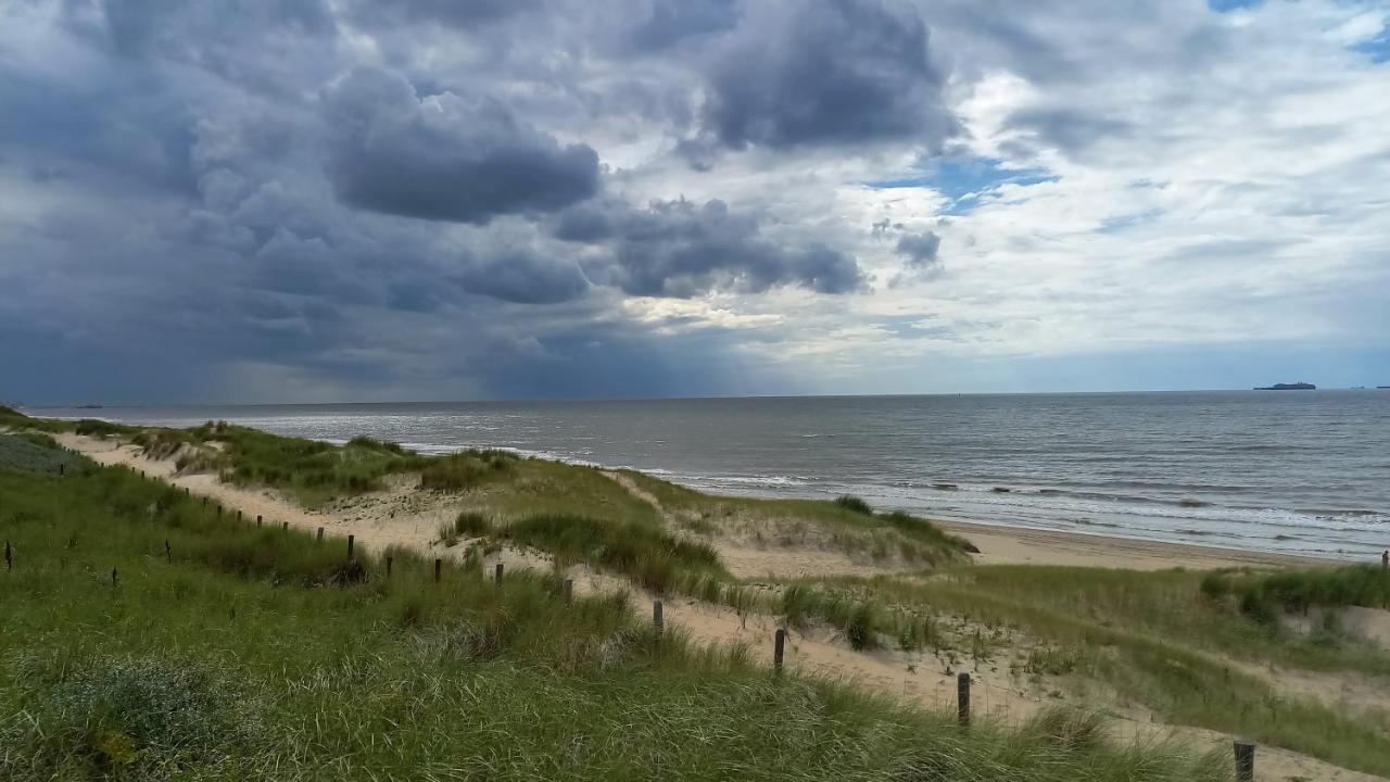 Willa Het Zeepaartje, Knus En Gezellig Noordwijkerhout Zewnętrze zdjęcie